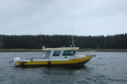 boats